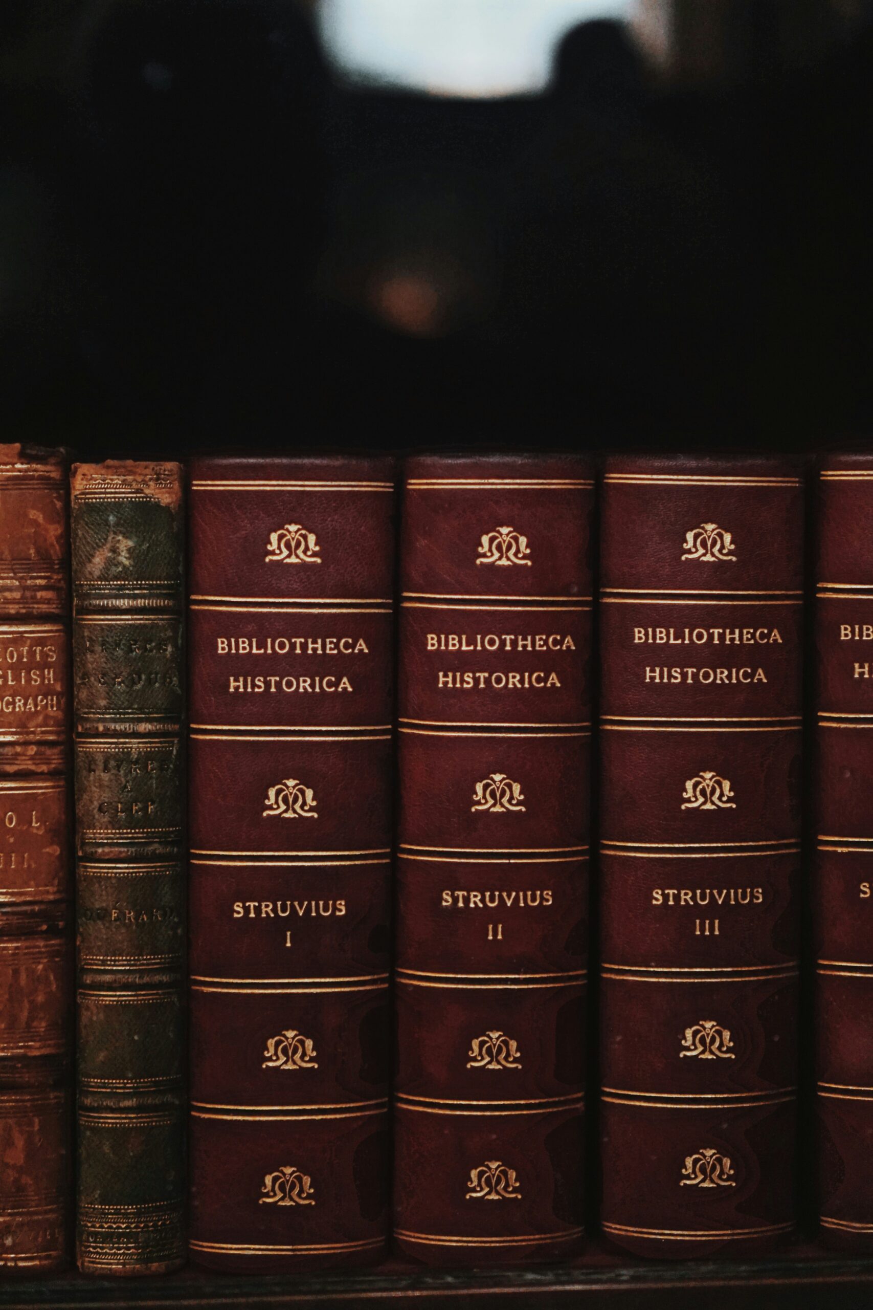 Chapter Historian